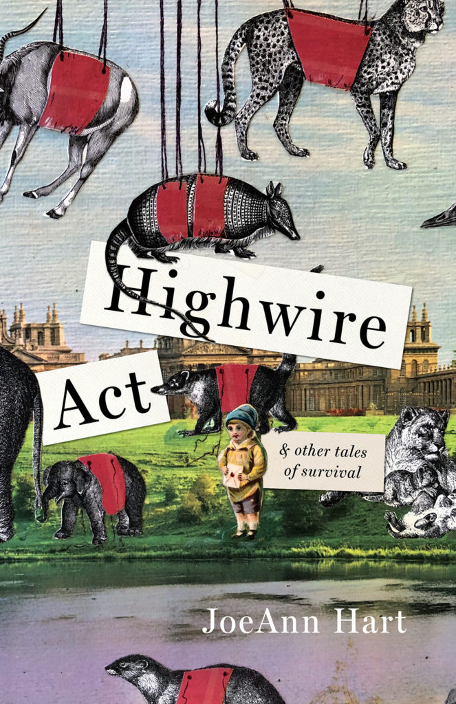 Highwire Act & Other Tales of Survival Book Jacket