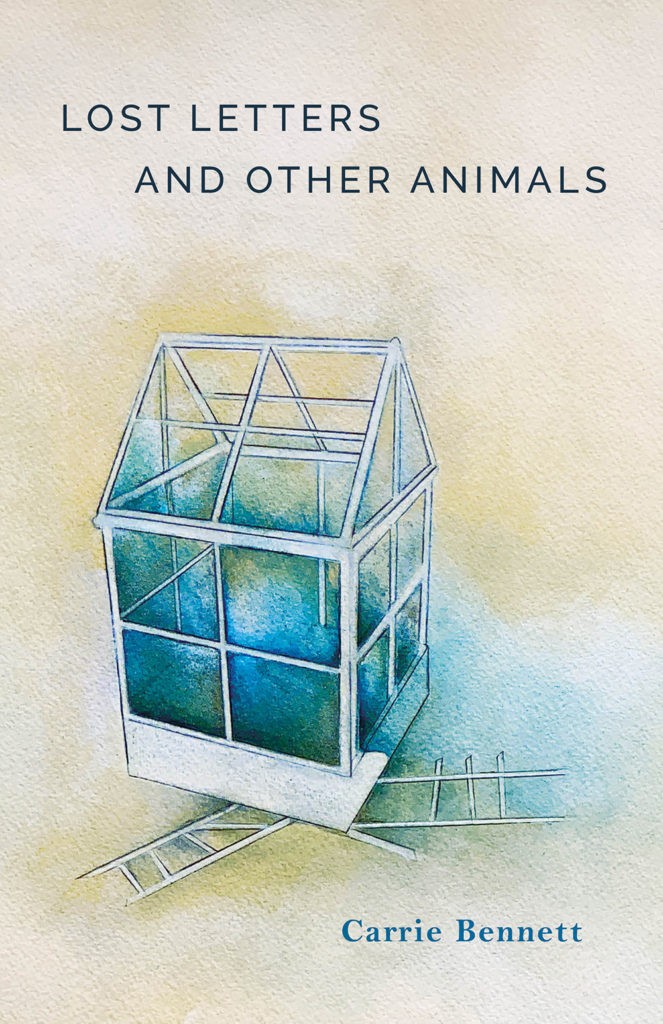 Lost Letters and Other Animals Book Jacket