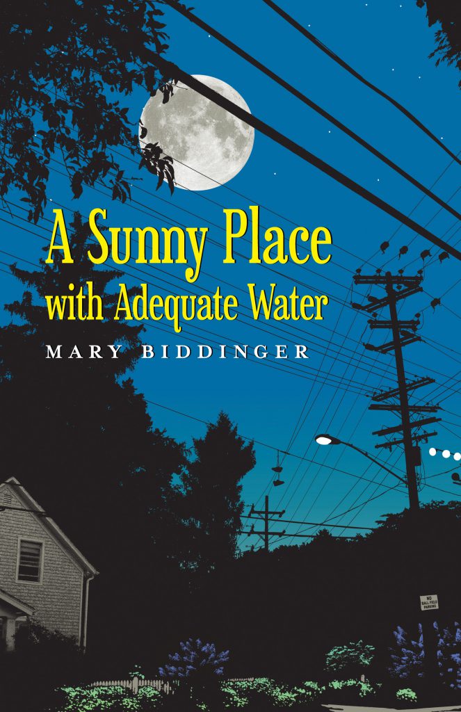 A Sunny Place with Adequate Water Book Jacket