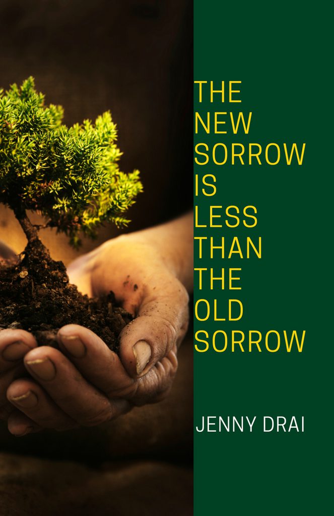 The New Sorrow Is Less Than the Old Sorrow Book Jacket
