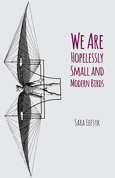 We Are Hopelessly Small and Modern Birds Book Jacket