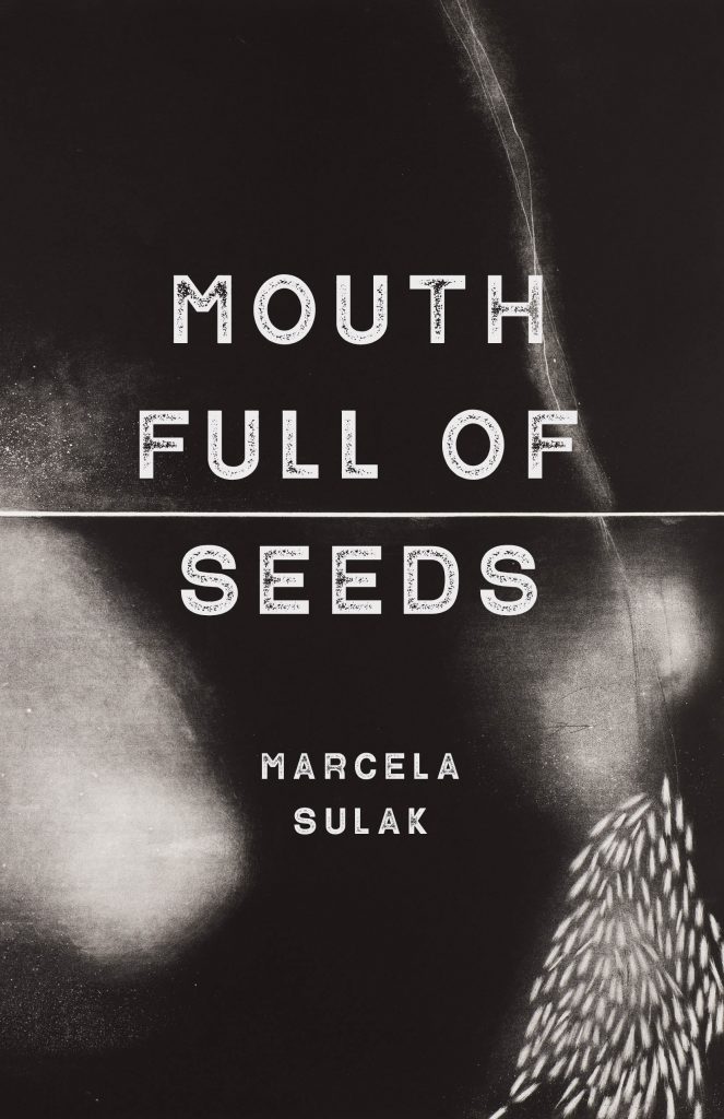 Mouth Full of Seeds Book Jacket