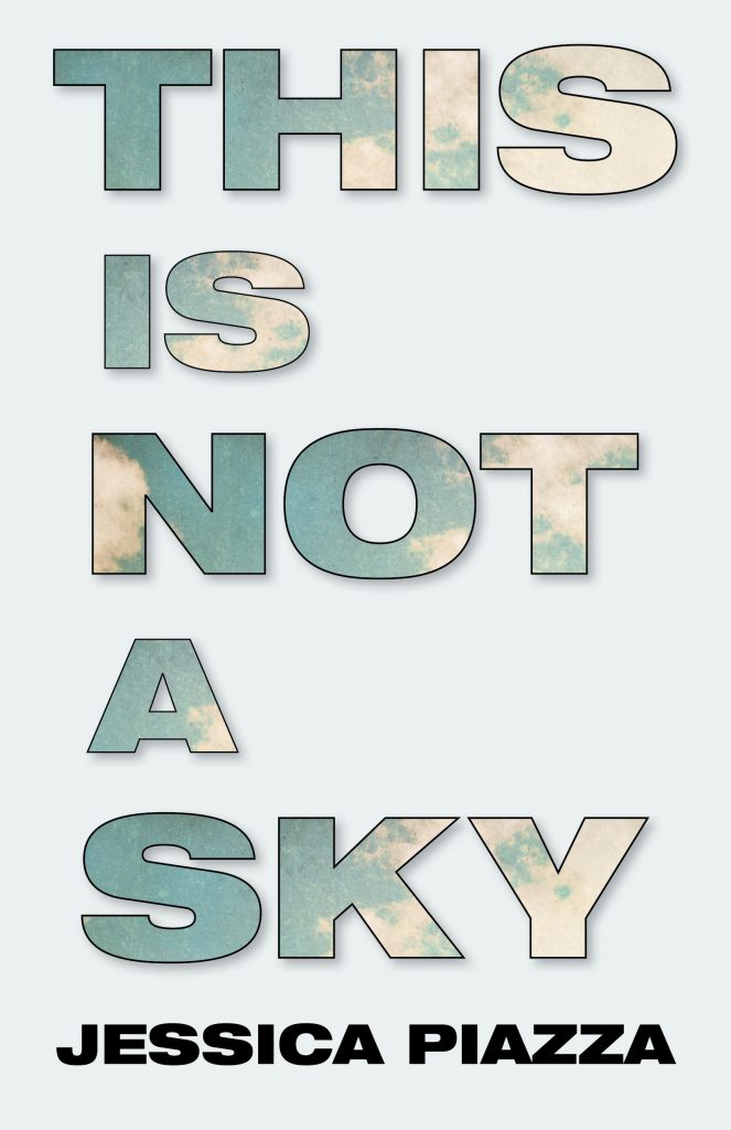 This is not a sky Book Jacket