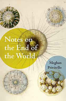 Notes on the End of the World Book Jacket
