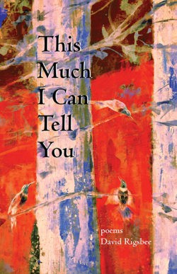 This Much I Can Tell You Book Jacket