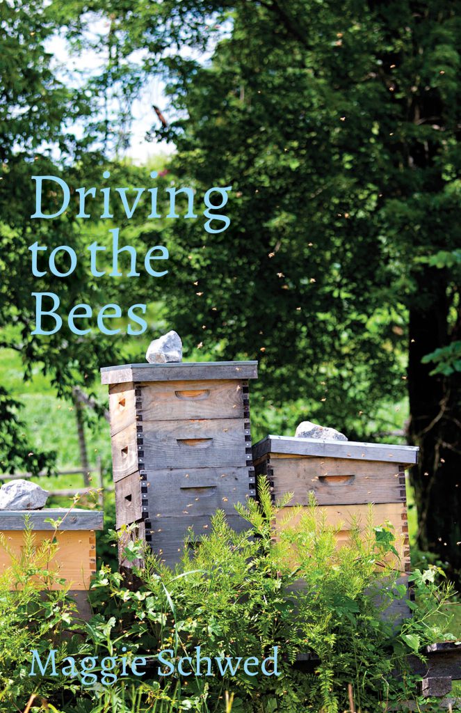 Driving to the Bees Book Jacket