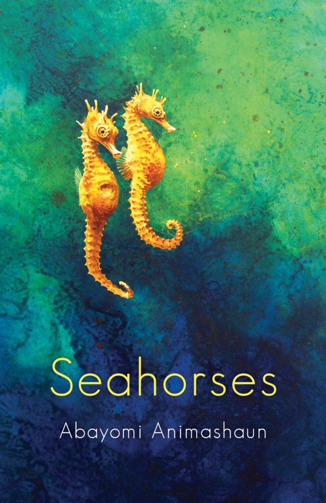 Seahorses Book Jacket