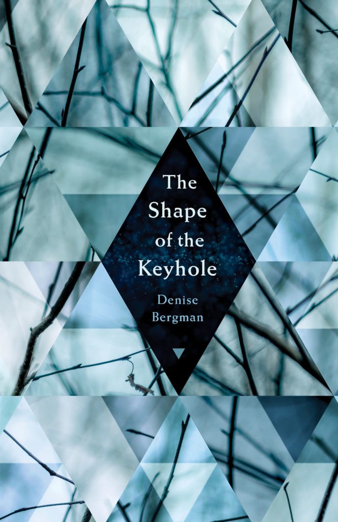 The Shape of the Keyhole Book Jacket