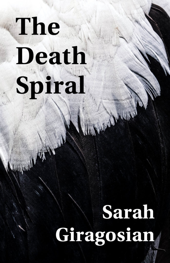 The Death Spiral Book Jacket