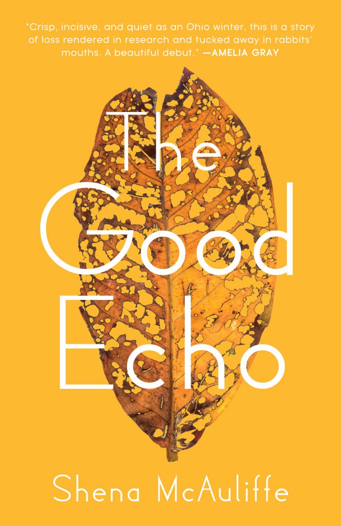The Good Echo Book Jacket